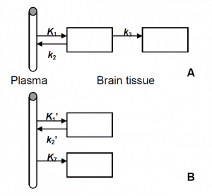 Figure 5 shows two different layouts for the two-tissue compartment model for Adenosine A2A Receptors