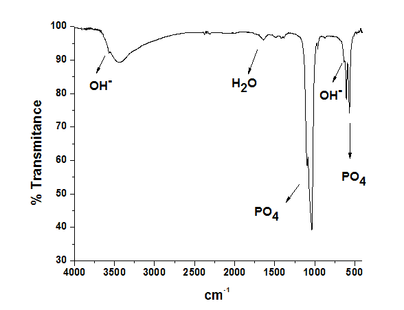 Figure 2 shows the FTIR spectrum of hydroxyapatite