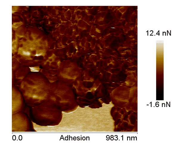 Figure 6 shows the AFM adhesion image of the nano-particles coated with the nano-hydroxyapatite