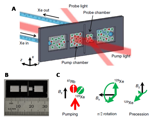 Figure 23 shows a microfluidic chip 129Xe nmr active nuclei
