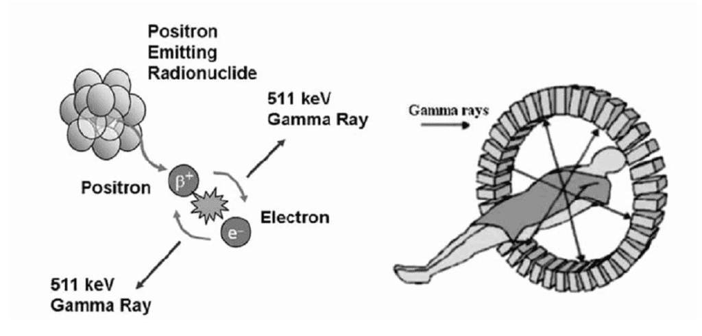 Figure 2 shows a schematic diagram of PET Imaging and the radiotracer