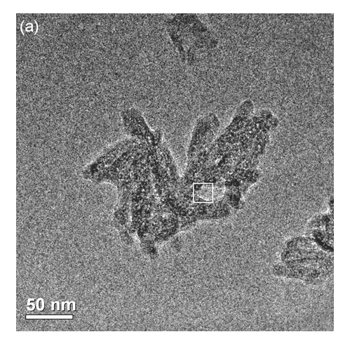 Figure 3a shows the transmission electron microscopy image of the agglomerates of HA37 nano-hydroxyapatite