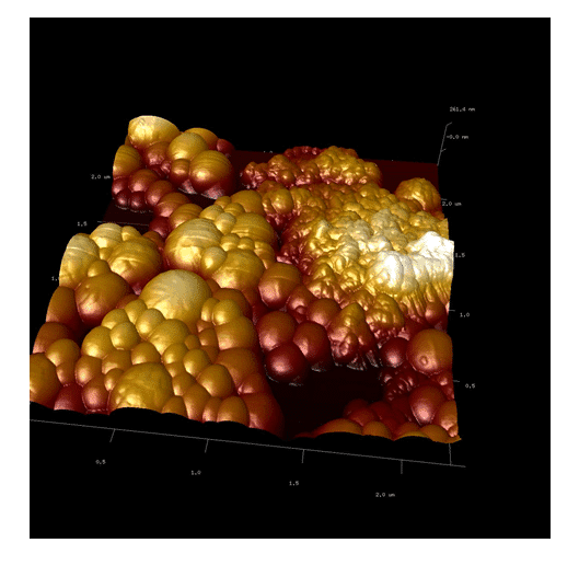 Figure 5 shows the agglomerates and spherical nano-hydroxyapatite