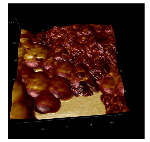 Figure 7 shows the AFM overlay imaging