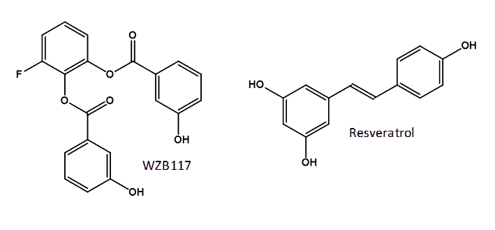 Figure 8 shows the structures of the glucose transporter GLUT1 inhibitors WZB117 and resveratrol
