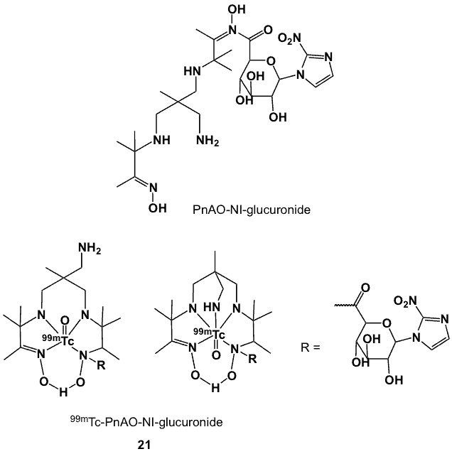 Figure 8 shows PnAO-nitroimidazole-glucuronide complex and corresponding technetium-99 labelled conjugates.