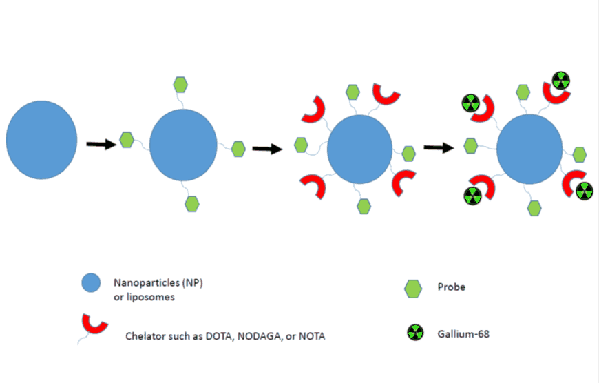 A diagram showing the in vivo synthesis of nanoparticles labelled with the gallium-68 radiotracers for PET imaging