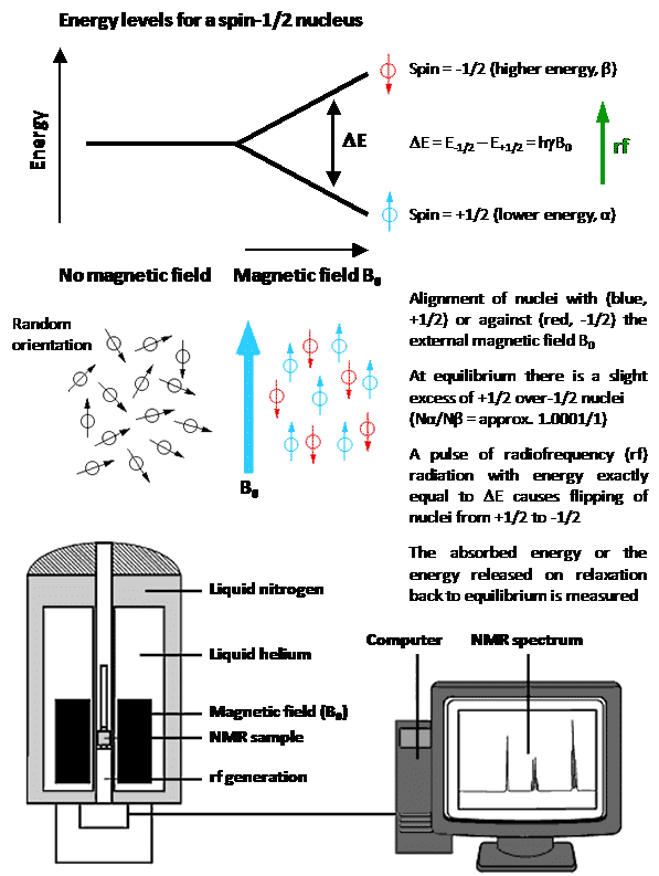 Figure 1 shows the basic NMR experiment with a spin-1/2 nucleus of nmr active nuclei
