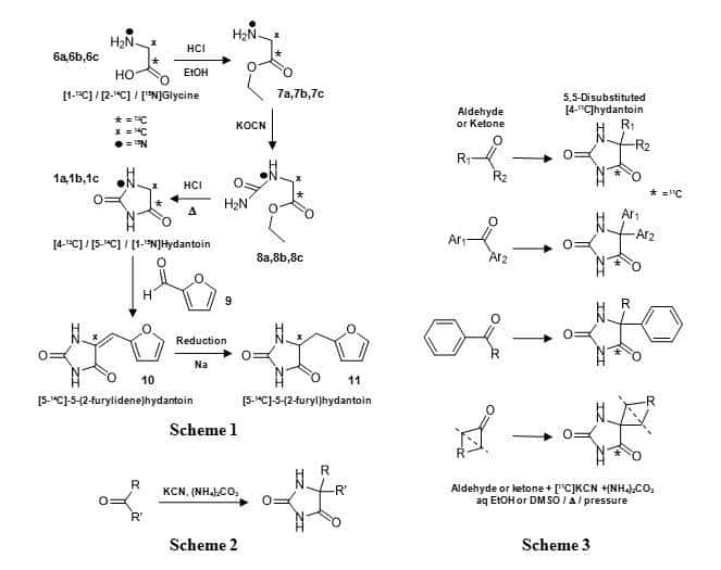 Figure 3 shows the chemical synthesis routes of isotopic labelled hydantoin