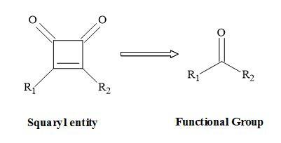 The squaryl entity and the equivalent functional group