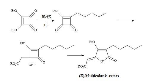 Synthesis of (Z)-multicolanic esters