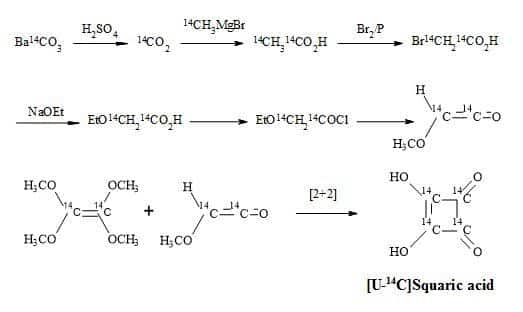 Synthesis of ring labelled carbon-14 squaric acid