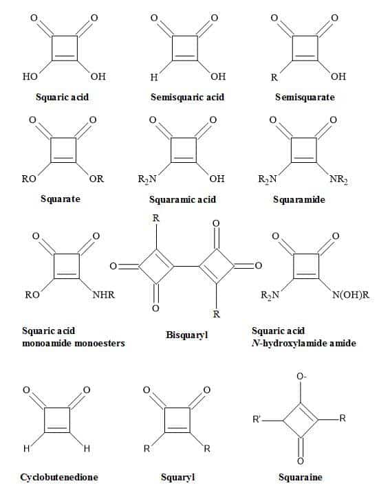 Nomenclature of the various squaryl entities