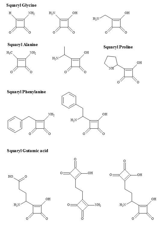 Squaryl amino acid families