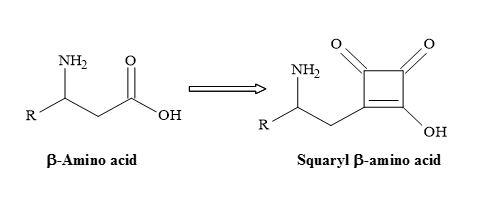 Semisquarate beta-amino acids
