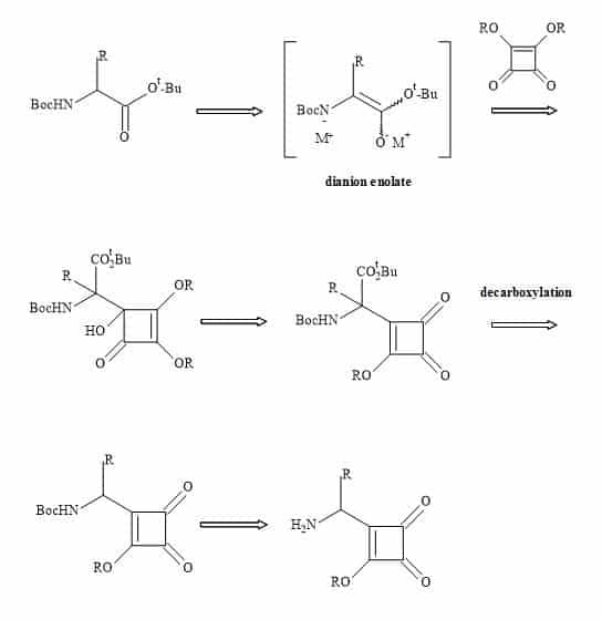 Synthesis of squaryl amino acids