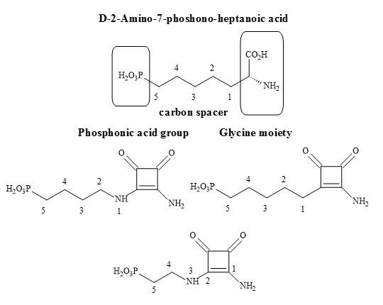 Potential squaramide NMDA antagonists