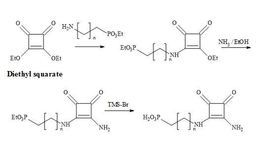 Synthesis of phosphonic acid squaramide