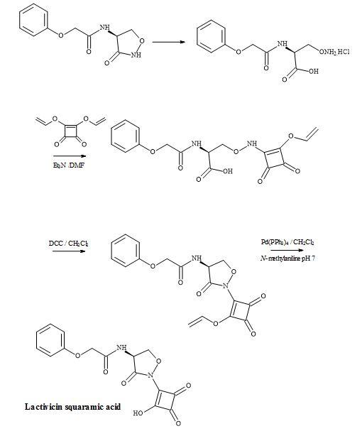 Synthesis of lactivicin squaramic acid