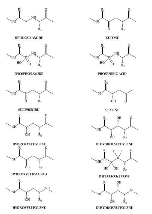 Dipeptide metaphors