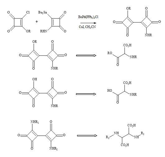 Bisquaryl peptide metaphors