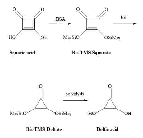 Synthesis of deltic acid