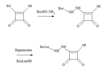 Synthesis of aza squaryl derivatives
