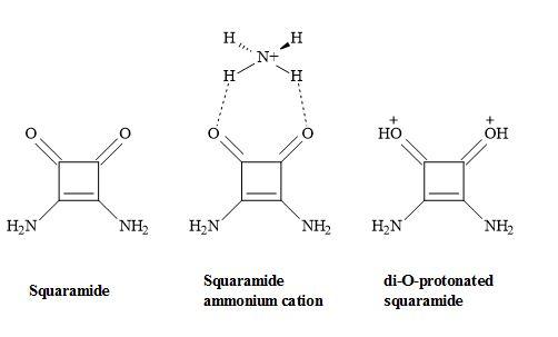 Squaramide complex