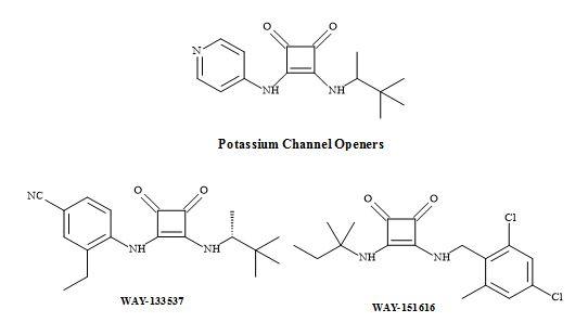 Potassium channel openers