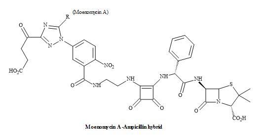 Squaramide hybrid antibiotic