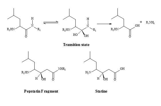 Peptide bond transition state analogue