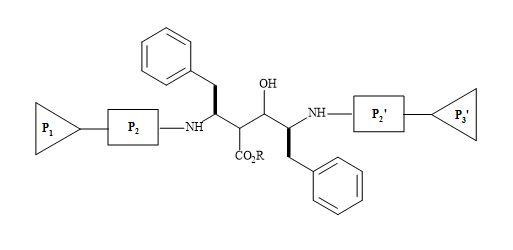 C2 symmetric homodimer