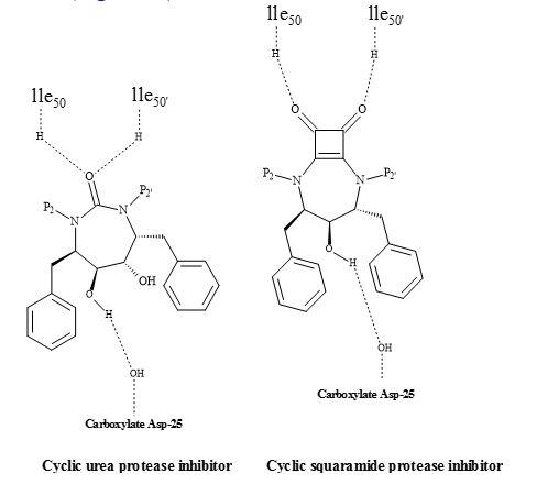 Squaryl HIV inhibitor