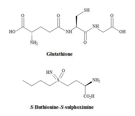 The chemical structure of S-Buthionine-S-sulphoximine