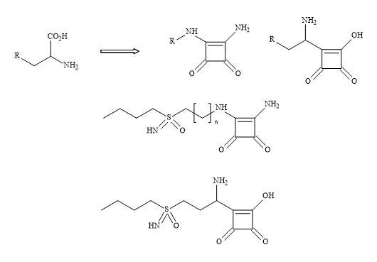 Squaryl buthionine sulphoximine