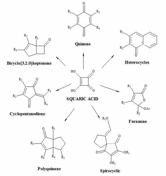 Squaric acid is a key C4-synthon leading to highly functionalized compounds