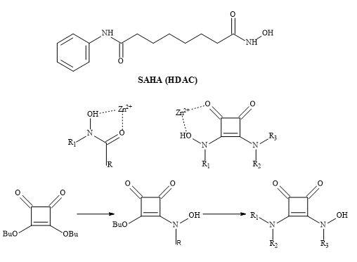 The binding mode of hydroxamic acid and squaric acid N-hydroxylamide amide