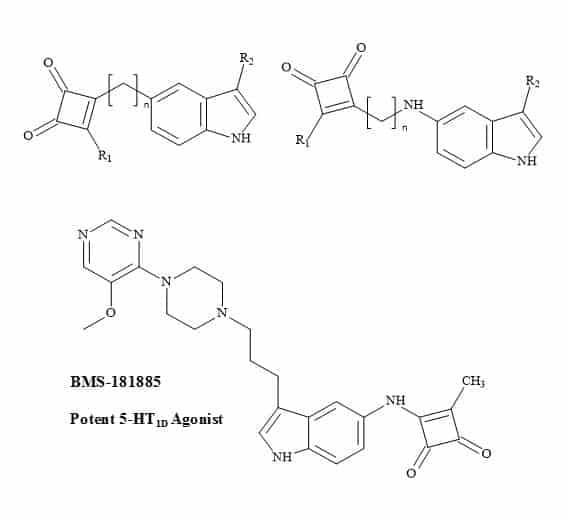 Antimigraine squaryl metaphors