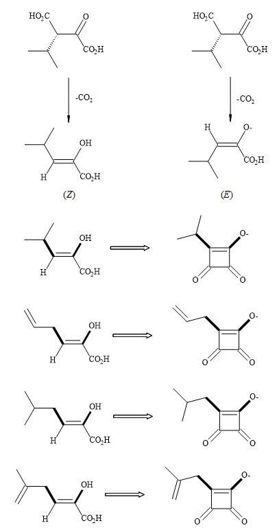 Thermus thermophiles β-isopropylmalate dehydrogenase (IMDH) – squaryl analogues