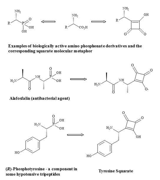 Substitution of phosphorus linkage with a squaryl entity