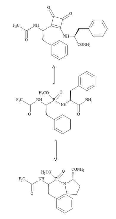 Squaryl-TS