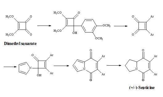 Synthesis of (±)-septicine