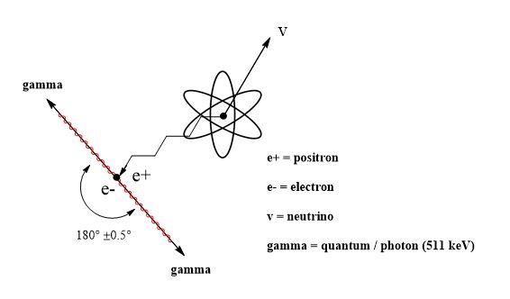 Positron-electron (e+ - e-) annihilation