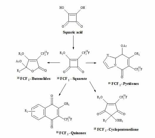 Fluorine-18 labelled Squarate leading to highly functionalized compounds