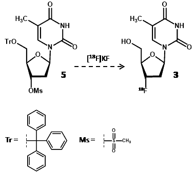 Synthesis of fluorine-18 FLT using a radiolabelled thymidine derivative and fluorine-18 potassium fluoride