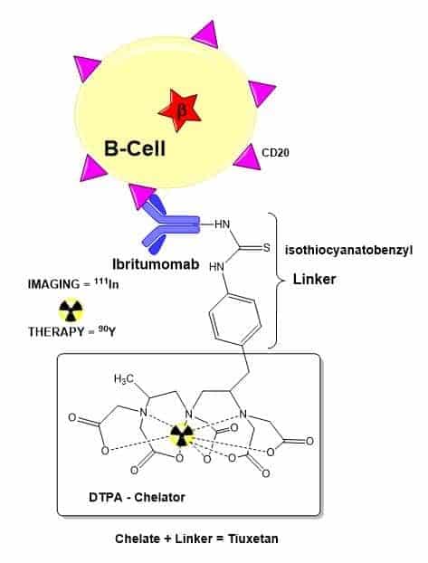 Zevalin is a radiolabelled monoclonal antibody containing yttrium-90