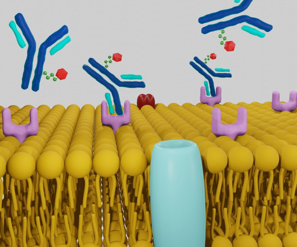 Thorium-227 enables targeted therapy, improving cancer treatment and diagnostic precision