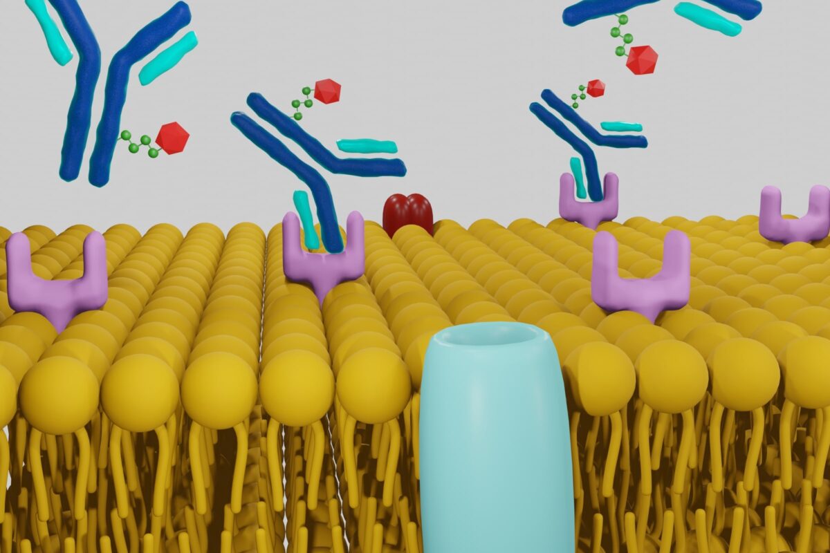 Thorium-227 enables targeted therapy, improving cancer treatment and diagnostic precision