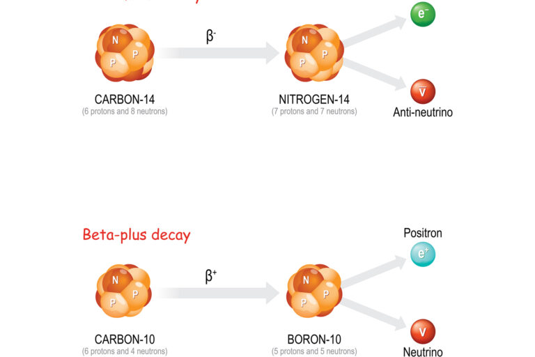 Beta-Plus And Beta-Minus Decay