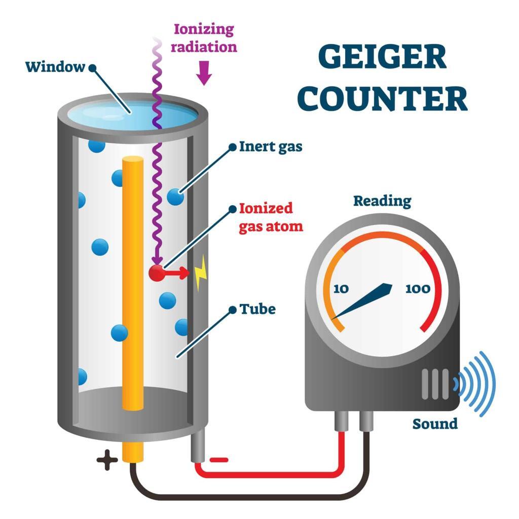 Dosimetry in radionuclide therapy ensures precise radiation dosing for effective treatment